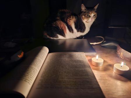Pissi, durante el apagón en el Carmel, con velas.
