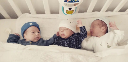 bebes