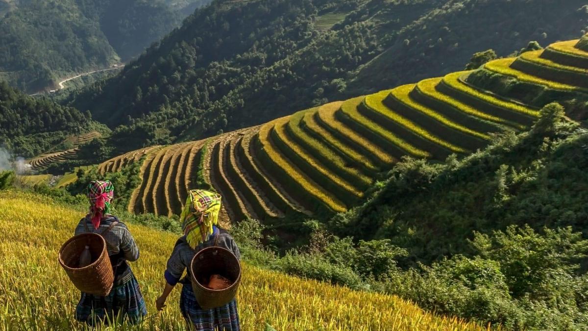 Viajes llenos de naturaleza: Uganda, Kenia o los Balcanes con descuentos de hasta el 50%