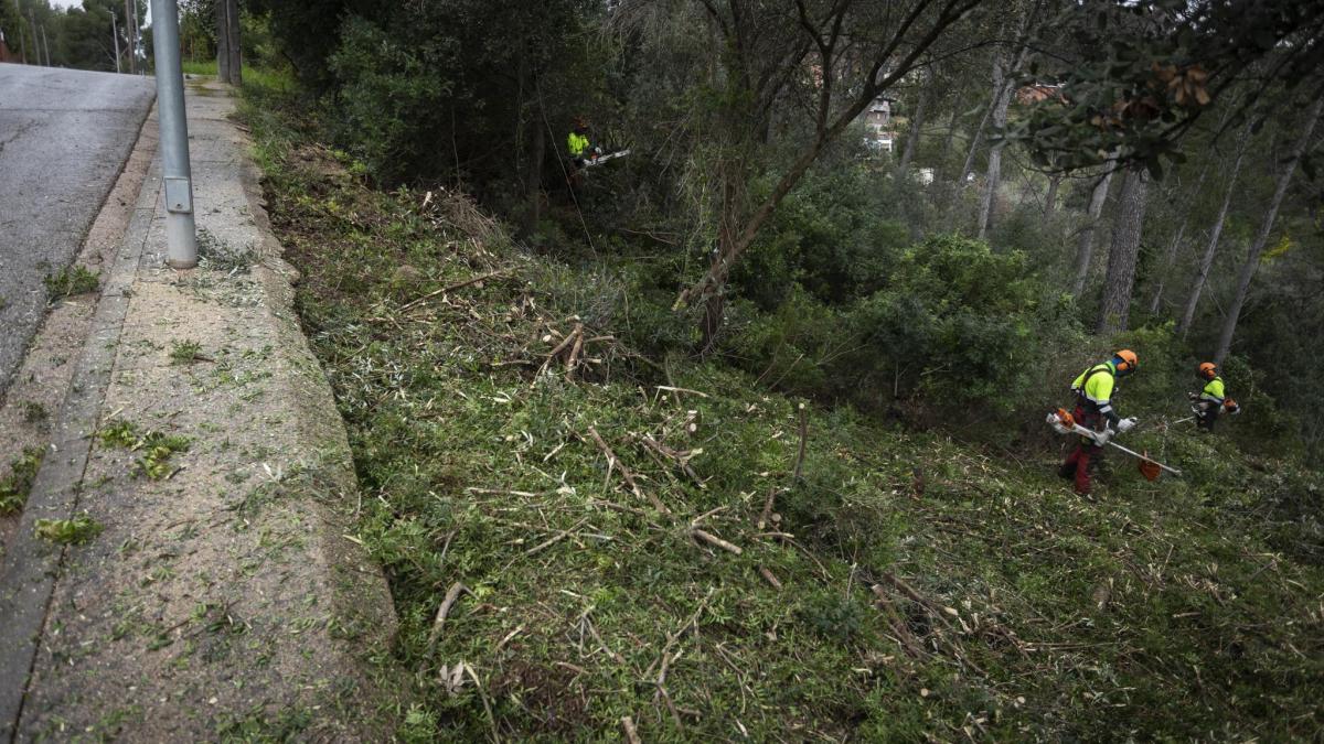 El Àrea Metropolitana de Barcelona previene los incendios en bosques de 16 municipios