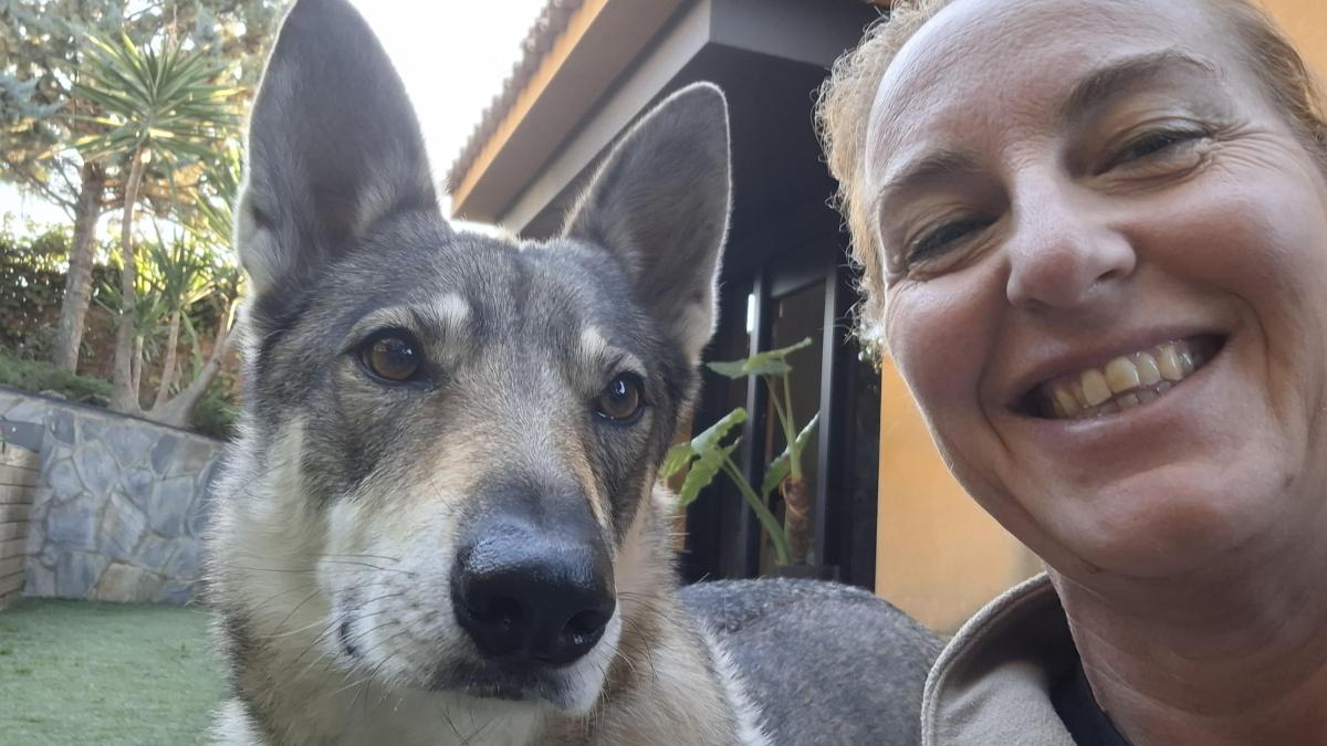 “¡Digamos basta! Ya he visto demasiados perros y gatos abandonados después de ser un regalo impulsivo y caprichoso de Navidad”