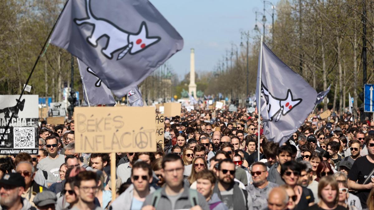 Marcha del Orgullo iliberal: humor y protesta contra la ley anti-LGTBI de Orbán en Budapest