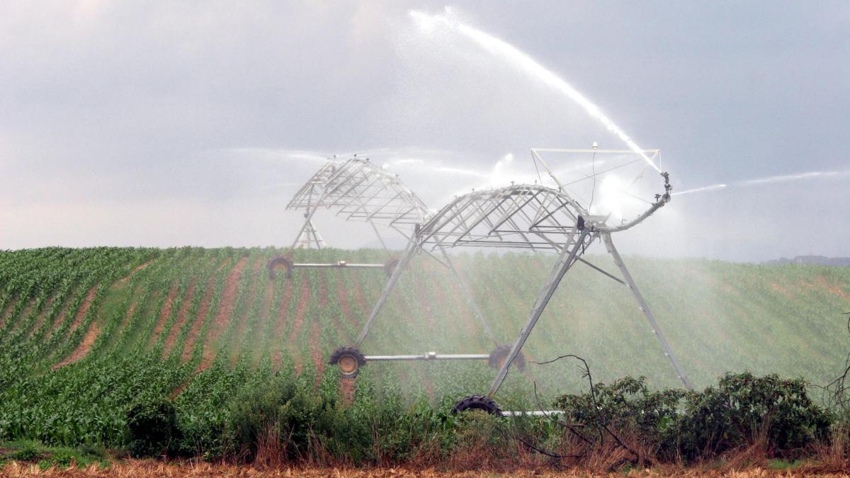 El riego agrario busca quien lo modernice