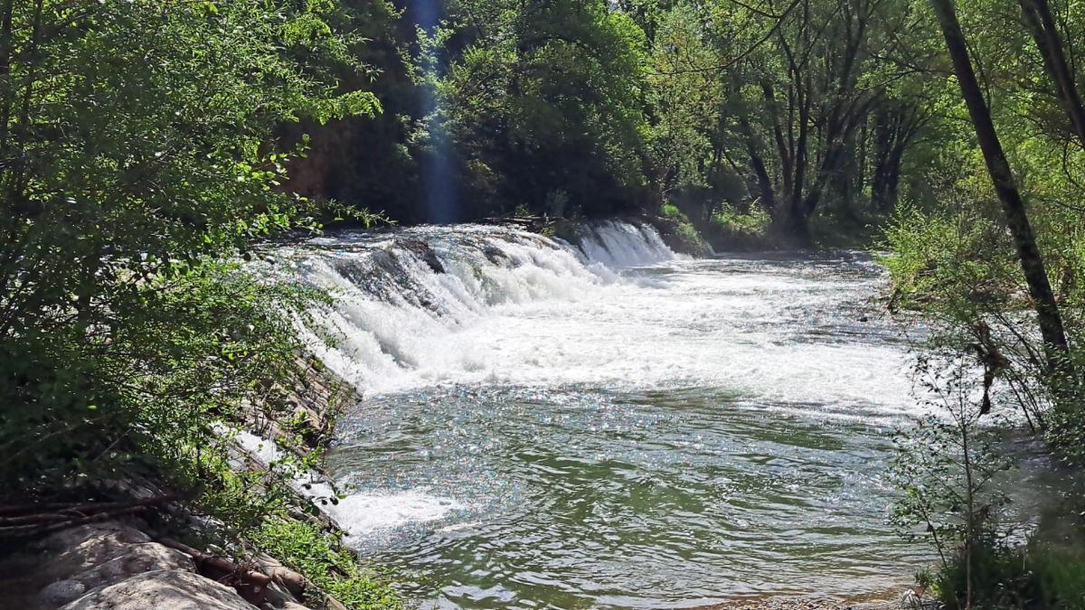 Ríos de agua para el pantano de Sau