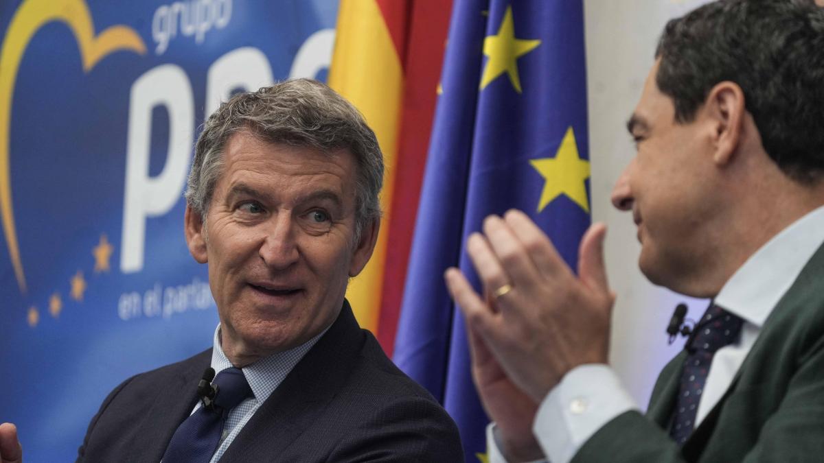Las hipótesis sobre si Feijóo convocará el congreso del PP desatan el debate interno Las hipótesis sobre si Feijóo convocará el congreso del PP desatan el debate interno