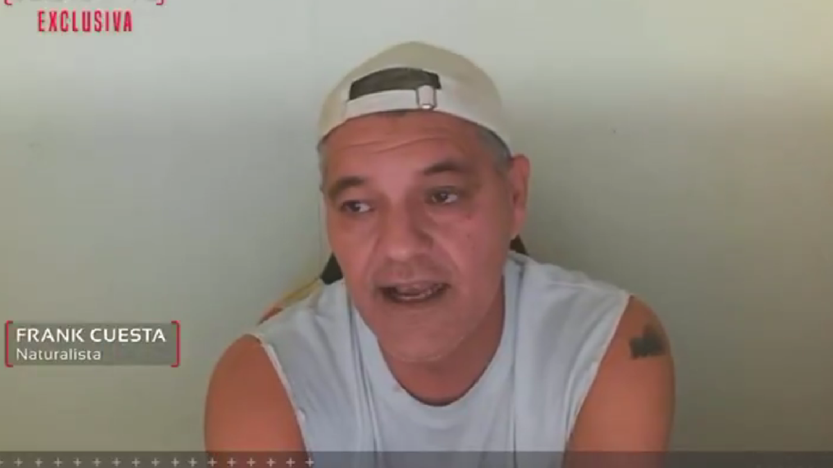 Frank Cuesta rompe su silencio en televisión: “Han sido meses duros, una situación sádica para mí. Voy a tener una condena, pero supongo que no entraré a la cárcel”