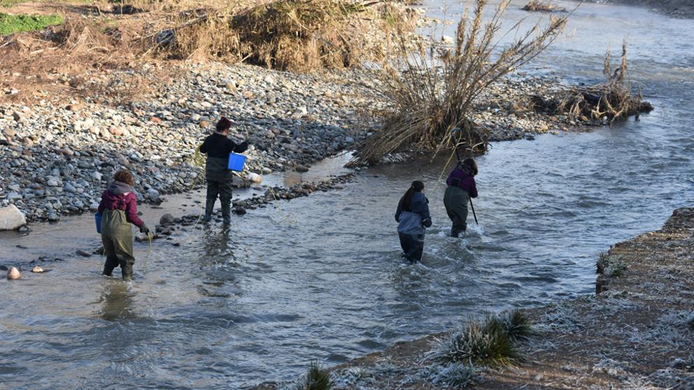 El río Besòs se recupera del desastre ecológico siete meses después